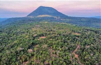 Declaran área silvestre protegida el cerro San José de Ybycuí.