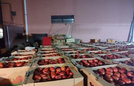 Incautaron una gran carga de tomate que ingresó de contrabando desde el Brasil. Los contrabandistas cargaron el producto en cajas de producción nacional para blanquearlo.