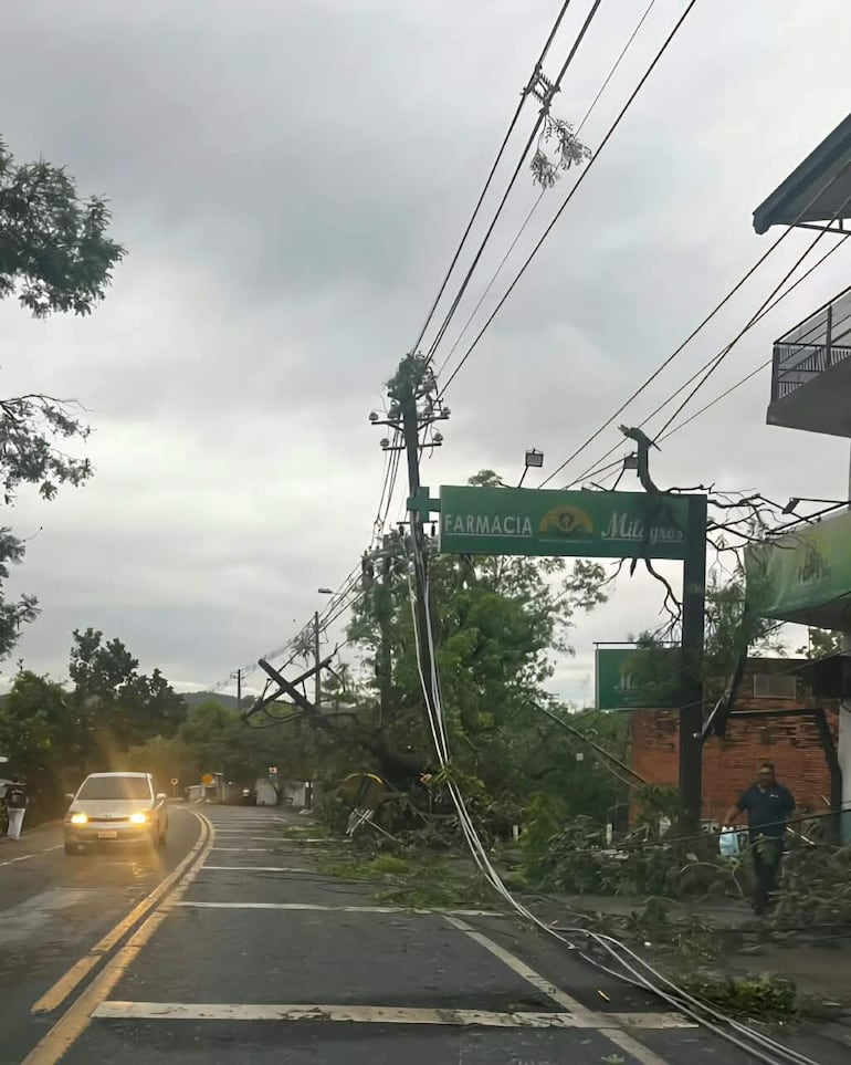 Árboles y el tenido eléctrico tendidos en el pavimento tras el intenso temporal registrado entre la noche del sábado y la madrugada del domingo.