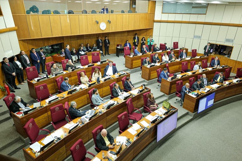 Sesión del Senado. Foto : Gentileza de la Cámara de Senadores.