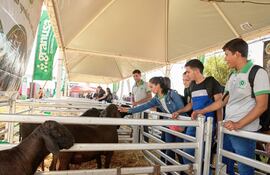 El público puede conocer de primera mano el trabajo que se hace en el campo.