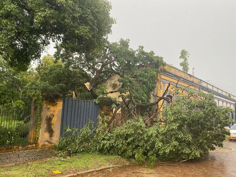 Concepción: fuertes vientos, tormenta eléctrica, lluvia y granizo