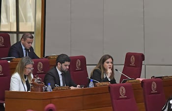 Sesión de la cámara de diputados en el congreso de la noción.