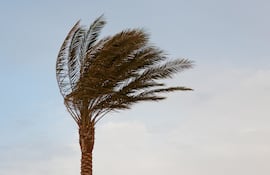 Concepto de viento.