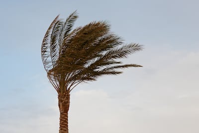 Concepto de viento.