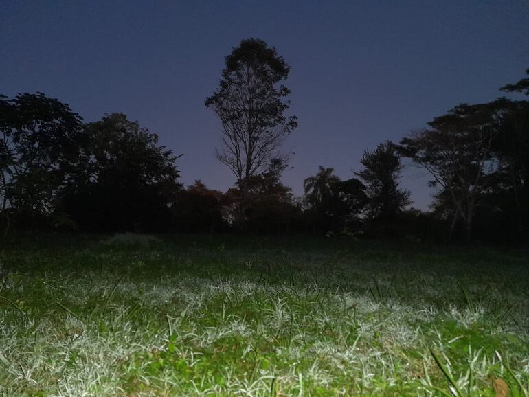 Heladas y escarchas registradas en Misiones.