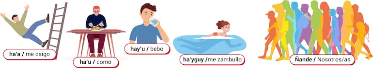 Ñe’etéva hekojojáva mokõiha ha ñe’etéva hekojoja’yva