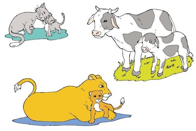 /pf/resources/images/abc-placeholder.png?d=2394