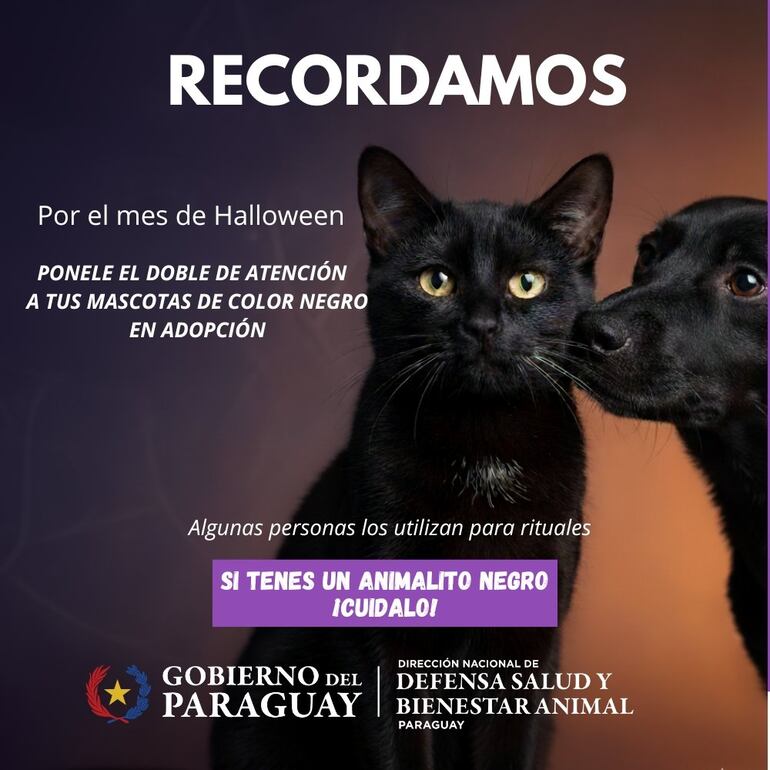 Piden tener cuidado con mascotas de pelaje color negro
