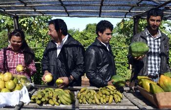 instan-a-diversificar-cultivos-en-misiones-204934000000-552875.jpg