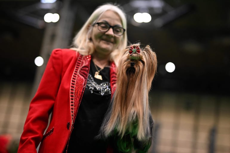 Un cuidador posa con su terrier de Yorkshire en el tercer día del Crufts, la exposición canina, en el National Exhibition Centre de Birmingham, en el centro de Inglaterra, el 7 de marzo de 2026.