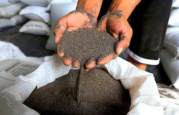 La Cámara Paraguaya de Exportadores de Chía (Capachia) destaca el fuerte salto de las exportaciones paraguayas en los últimos siete años