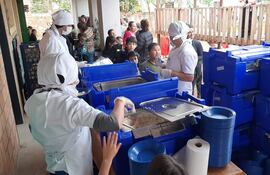 Imagen de referencia sobre la provisión de almuerzo escolar, en el marco del programa "Hambre cero".