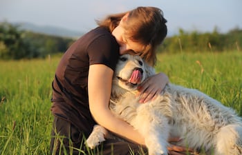 Perro de la raza golden retriever con su humano.