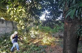 La vivienda abandonada está ubicada en el barrio Vista Alegre de Asunción.
