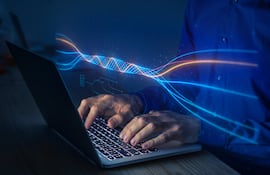 Alrededor del 80% de la población del país tiene  acceso a internet.