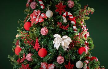 Las características principales de los árboles navideños del Paraguay son las luces, las esferas o globos, guirnaldas o cintas, figuras religiosas, ángeles y otros.