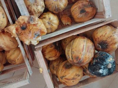 Así se encontraban varias frutas y verduras que fueron entregadas por la empresa a la escuela el pasado viernes, al final se logró reemplazar estos alimentos.