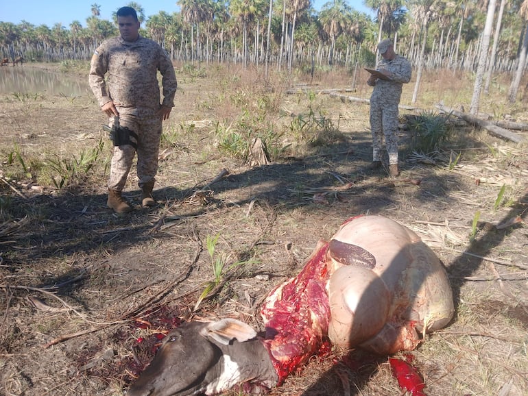 Hombre en uniforme militar sosteniendo un arma y otro tomando notas junto a un bovino faenado en un entorno rural.