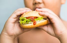 Un niño obeso come una hamburguesa