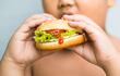 Un niño obeso come una hamburguesa