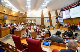 En sesión extraordinaria, la Cámara de Diputados sancionó a tambor batiente la reforma a la ley de APP.