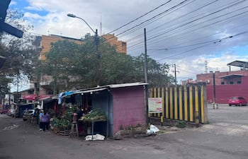Dos mujeres en el mercado, una con blusa morada y canasta, la otra cerca de un puesto de verduras, en un ambiente urbano bullicioso.
