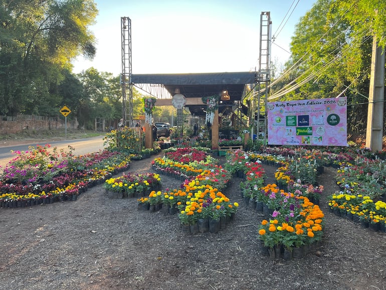 Flores y colores llenan de vida la Expoferia Yvoty Rape.