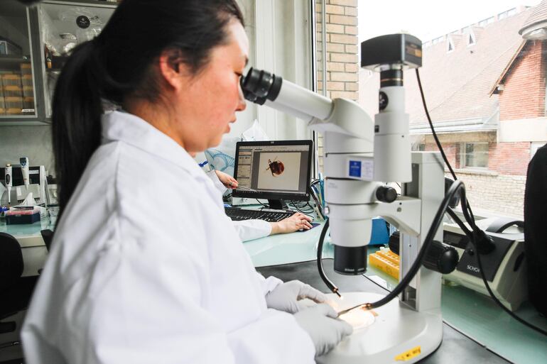 La investigadora y científica paraguaya, Alejandra Wu-Chuang. (EFE)