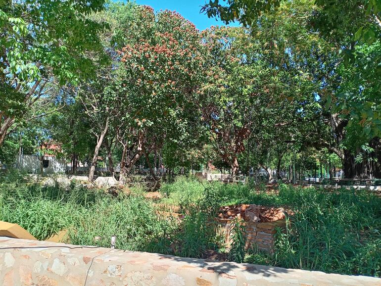 Parte posterior de la plaza Naciones Unidas, convertida en un yuyal.