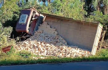 Camión rojo volcado sobre vegetación, con ladrillos esparcidos y área boscosa de fondo.