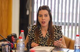 Sara Irún, titular de Sedeco, en la Comisión Anti Mafia de Pagares, del Senado. (Foto: Gentileza)