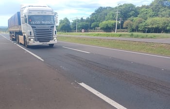 Camión de carga Scania en la ruta, rodeado de vegetación en un ambiente rural, sin personas visibles.