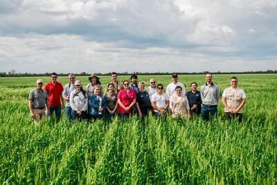 Equipo que lleva adelante el proyecto Paraguay + Verde.