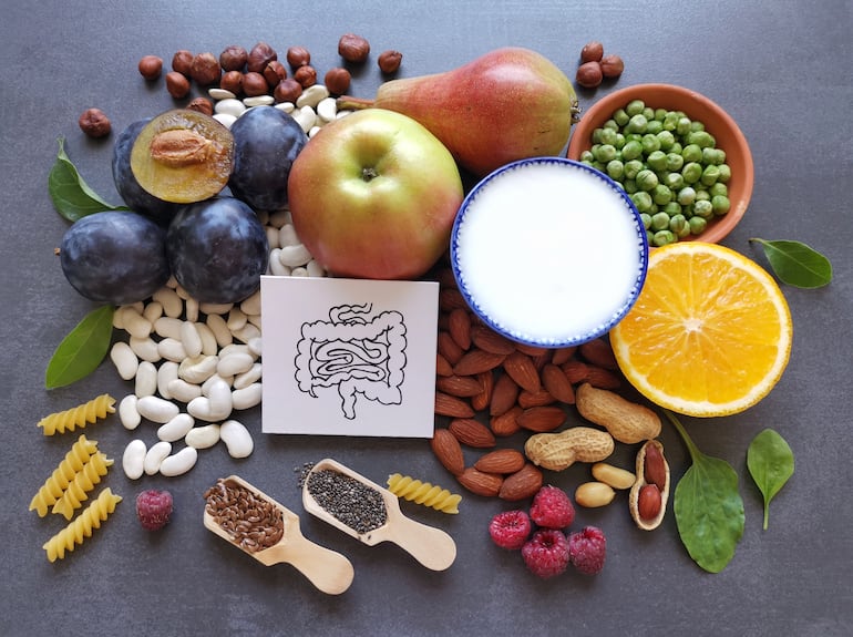 Microbiota y peso: relación entre las bacterias de tu intestino y la facilidad para quemar grasa.