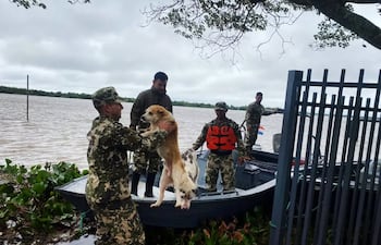 Rescate de animales - Inundaciones Río Paraná - Fuerza Armada Paraguaya.