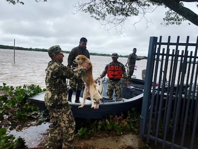 Un oficial de la Armada Paraguaya sostiene a uno de los perros que fue rescatado.