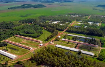 La empresa combina tradición, tecnología y expansión para seguir creciendo.