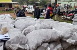 La insuficiente entrega de semillas de papa deja sin esperanzas de ingresos a unos 400 productores de Paraguarí.