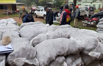 La insuficiente entrega de semillas de papa deja sin esperanzas de ingresos a unos 400 productores de Paraguarí.
