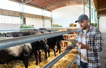 Simple, segura y directa: herramienta de compraventa de ganado vía WhatsApp