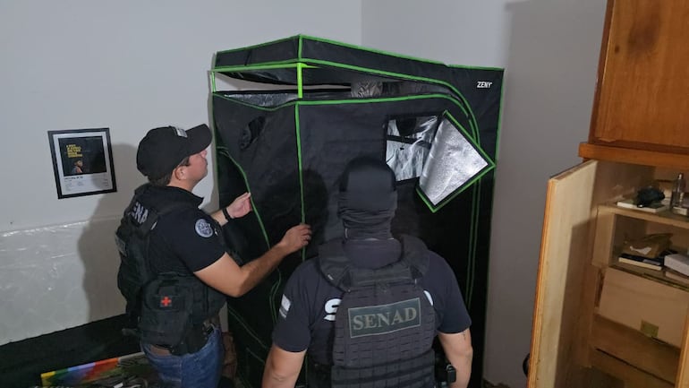 Incautan drogas y equipos de cultivo indoor tras allanamiento en Asunción