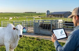 Trazabilidad, genética y certificaciones, el puente para los mercados premium