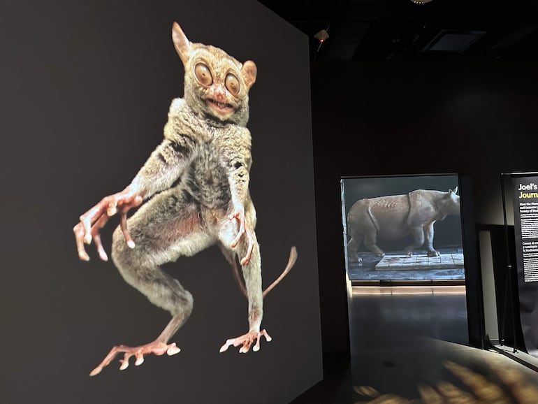 Fotografía del 22 de junio de una exhibición de imágenes de la vida animal expuestas en el Museo de la Exploración de la NatGeo, el nuevo museo de la National Geographic en Washington. 