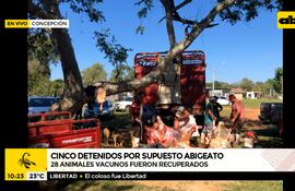 Cinco supuestos abigeos detenidos en Concepción