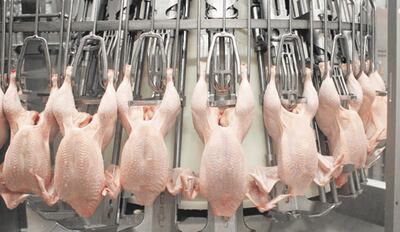 Disminuye la exportación de carne aviar.