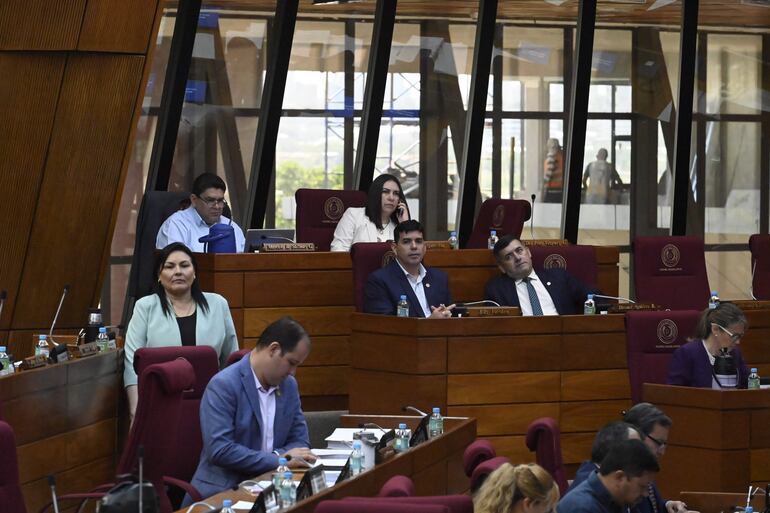 Sesión de la Cámara de Diputados. 