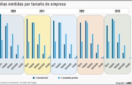 Garantías emitidas por tamaño de empresa