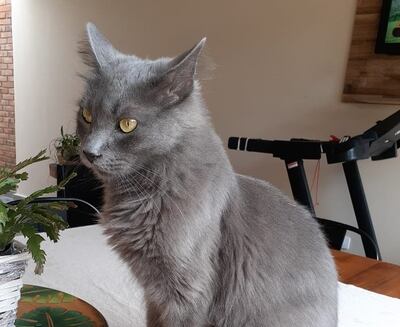 Ruegan información acerca de su paradero.