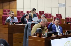 Los parlamentarios Gustavo Leite, Jatar Fernández, Dionisio Amarilla, Rodrigo Gamarra y Héctor “Bocha” Figueredo forman parte de la comisión garrote.